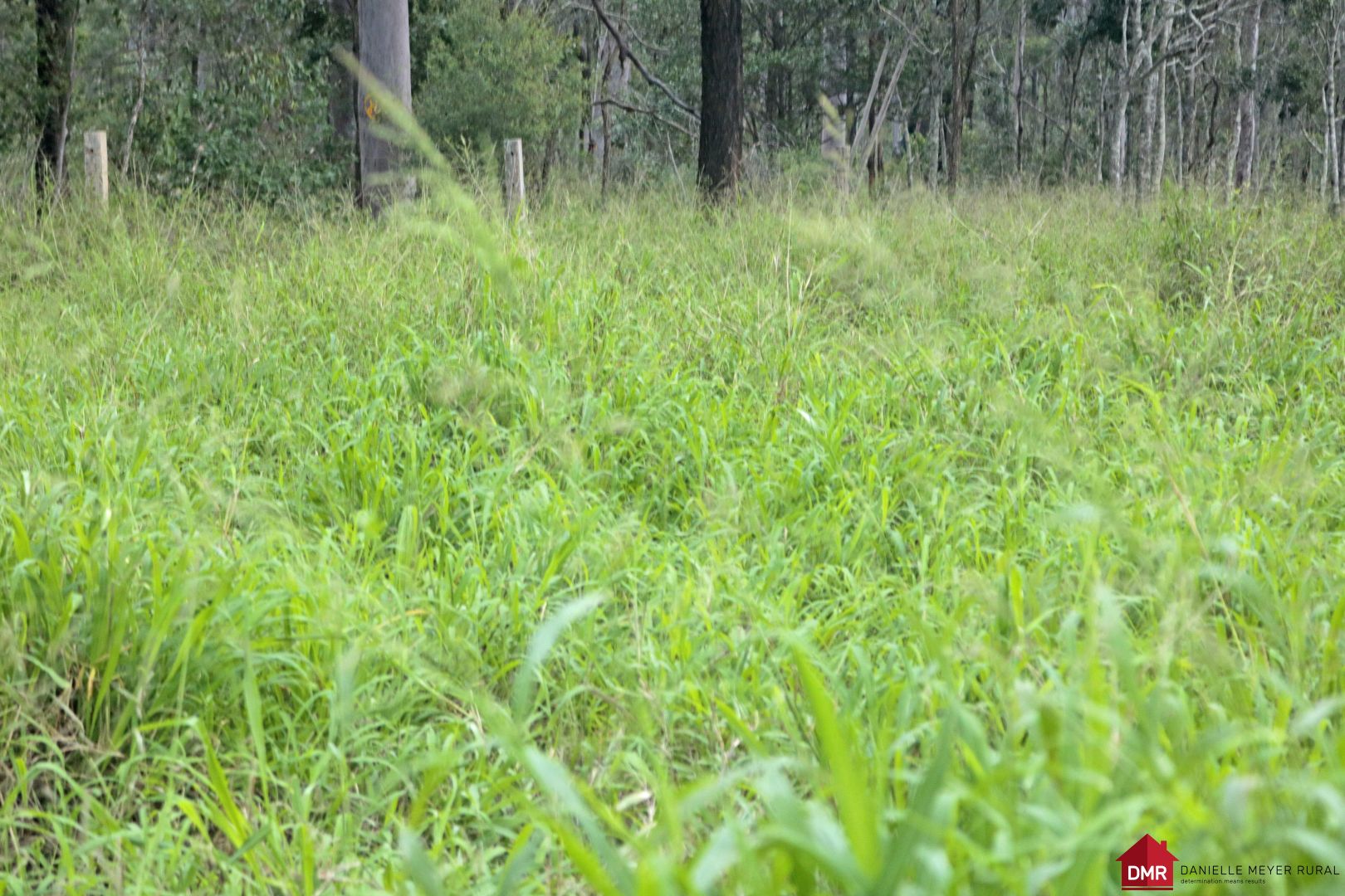 0 Top Gurgeena Road, Binjour QLD 4625 House for Sale Domain