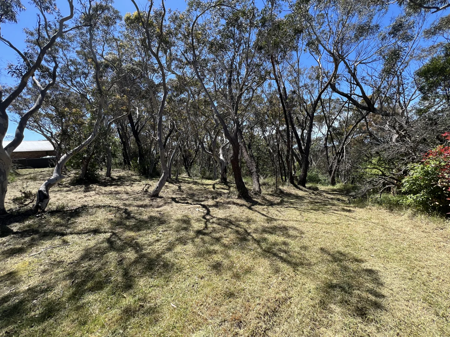 Image 8