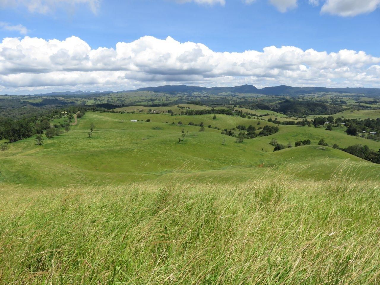 Tarzali QLD 4885 Specialist Farm for Sale Domain