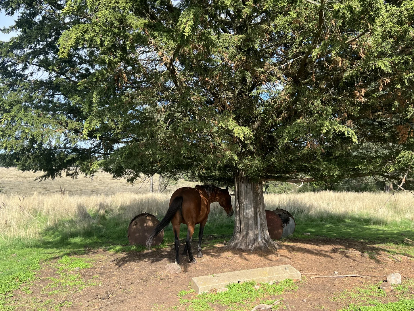 Additional image 22 of 84 Duckholes Road, Romsey VIC 3434