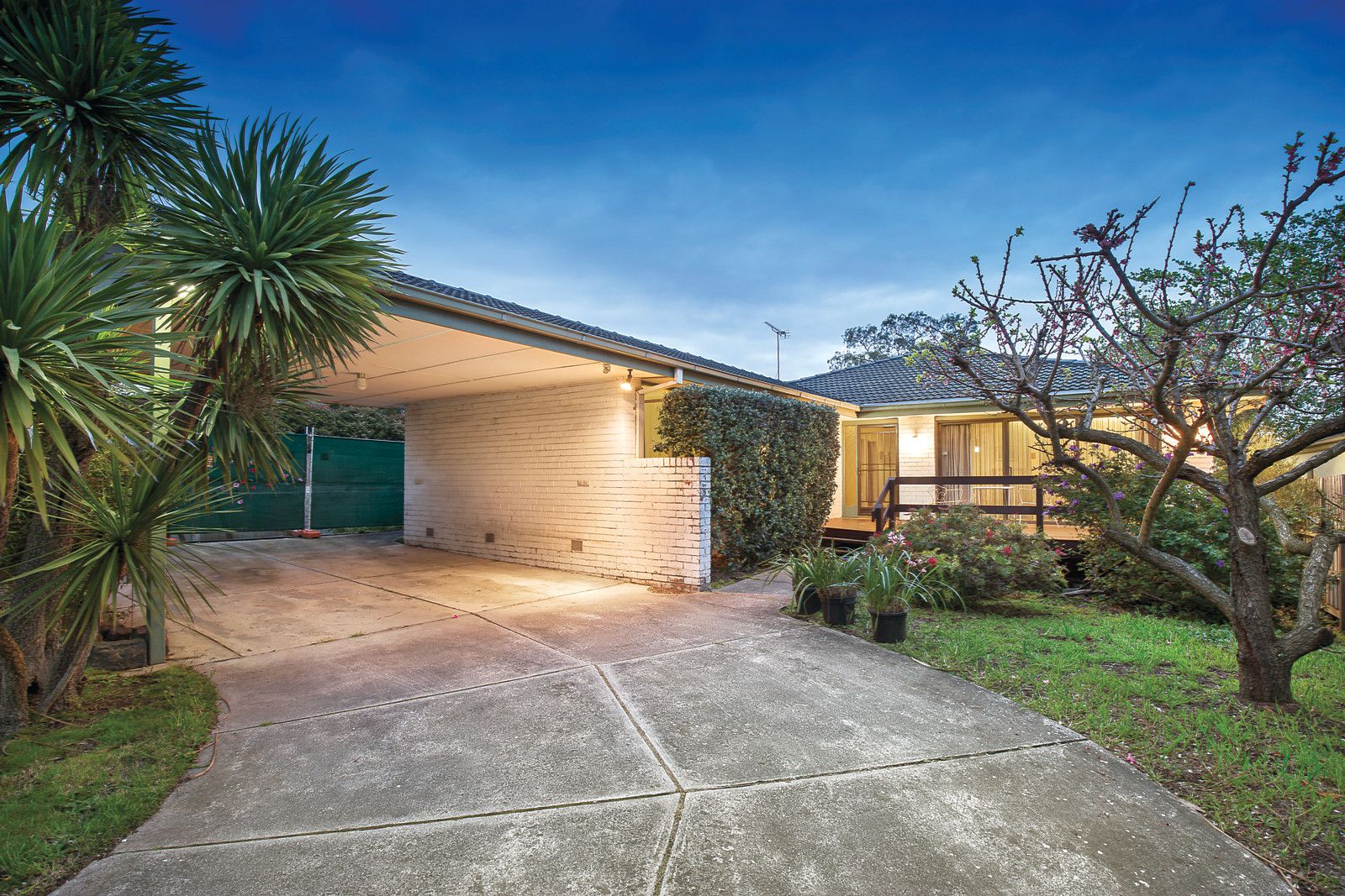 7 May Street, Balwyn VIC 3103, Image 2