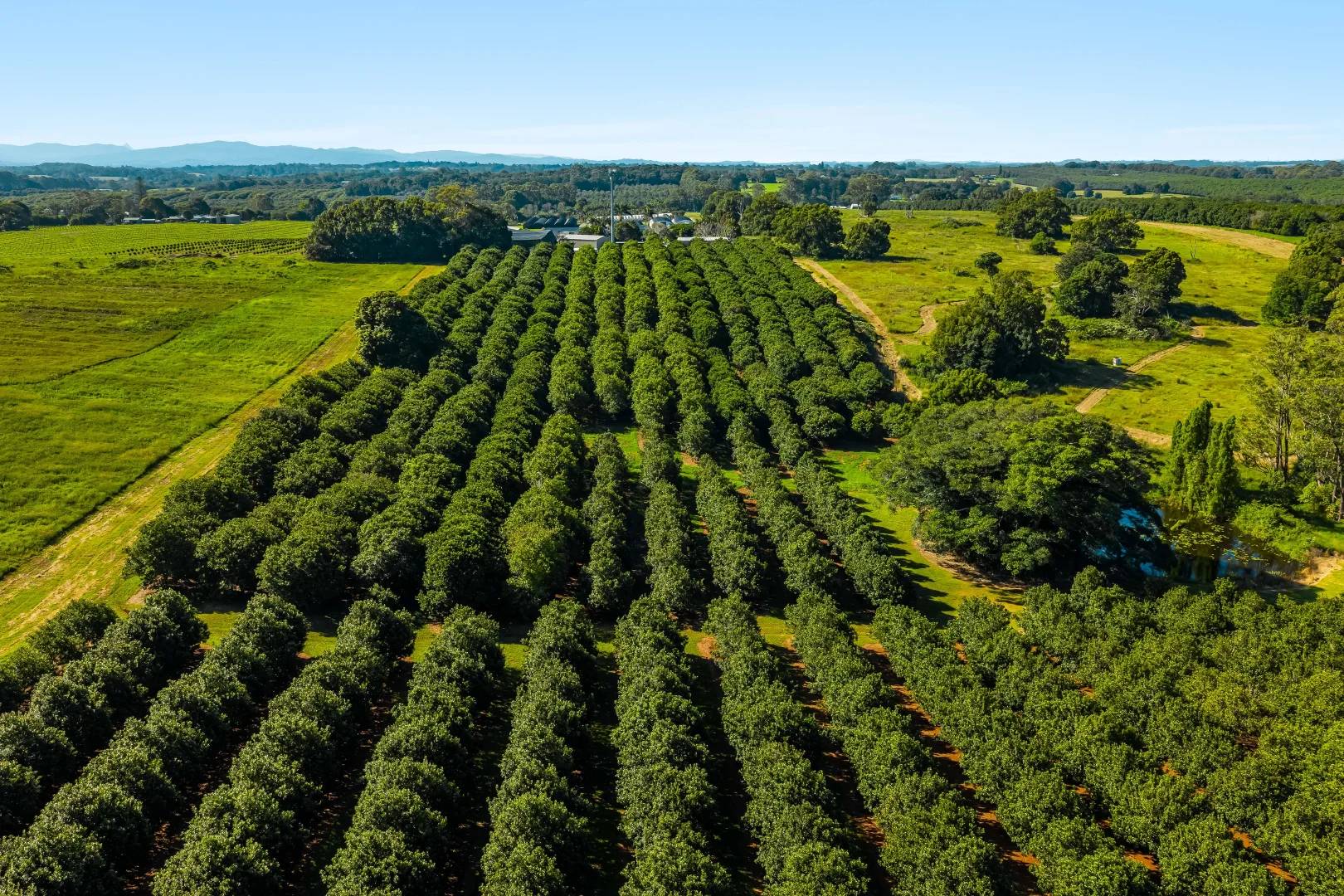 Additional image 17 of 250 Dalwood Road, Dalwood NSW 2477