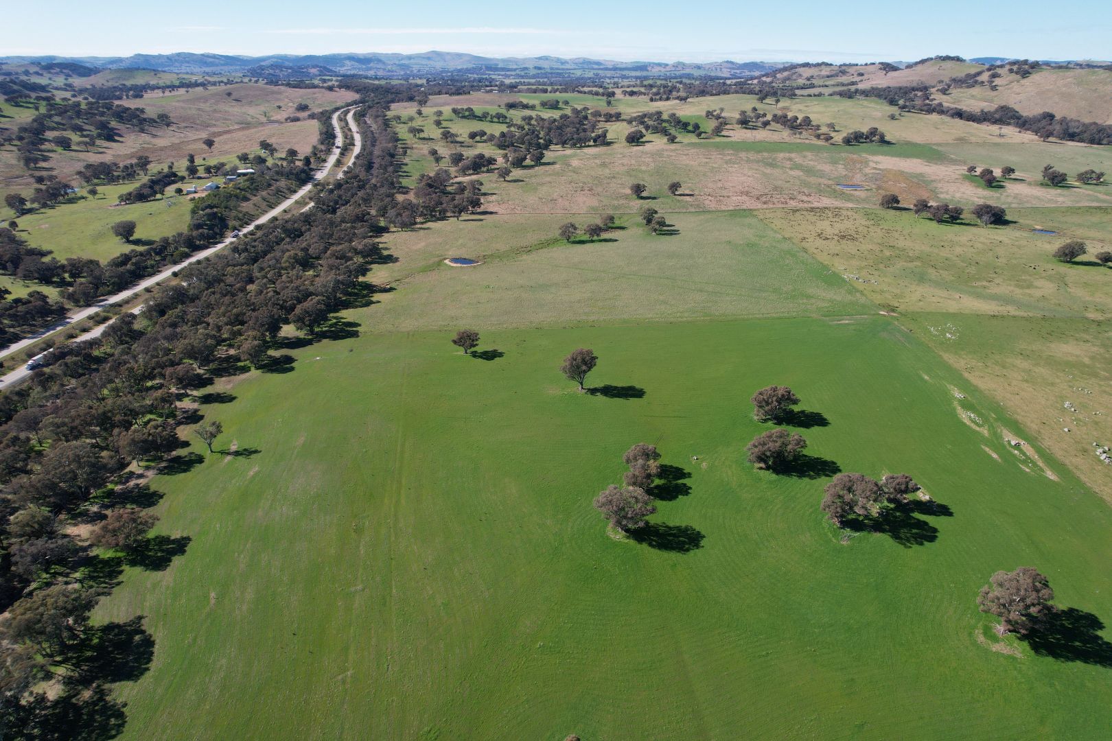 Talbragar, Bogolara Road, Bookham NSW 2582, Image 2