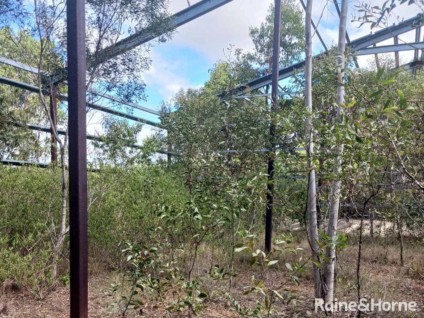 Additional image 9 of Lot 2 Barrs Road, Bucca QLD 4670