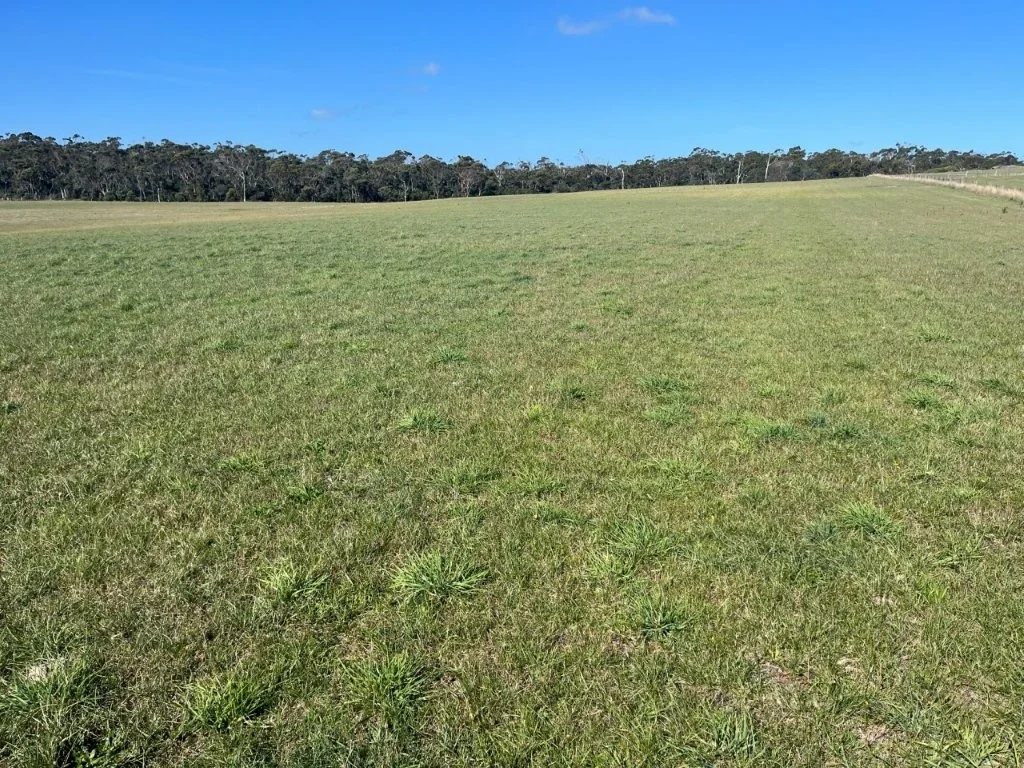 Additional image 18 of 559 North Ansons Road, Gladstone TAS 7264