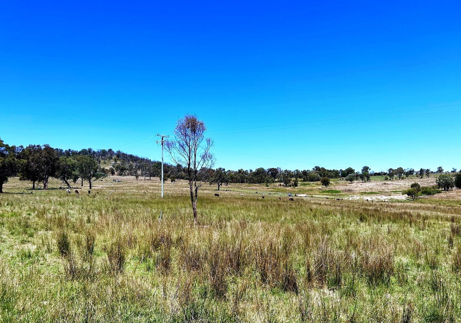 Lot 322 Jenkyn Lane, Uralla NSW 2358, Image 2