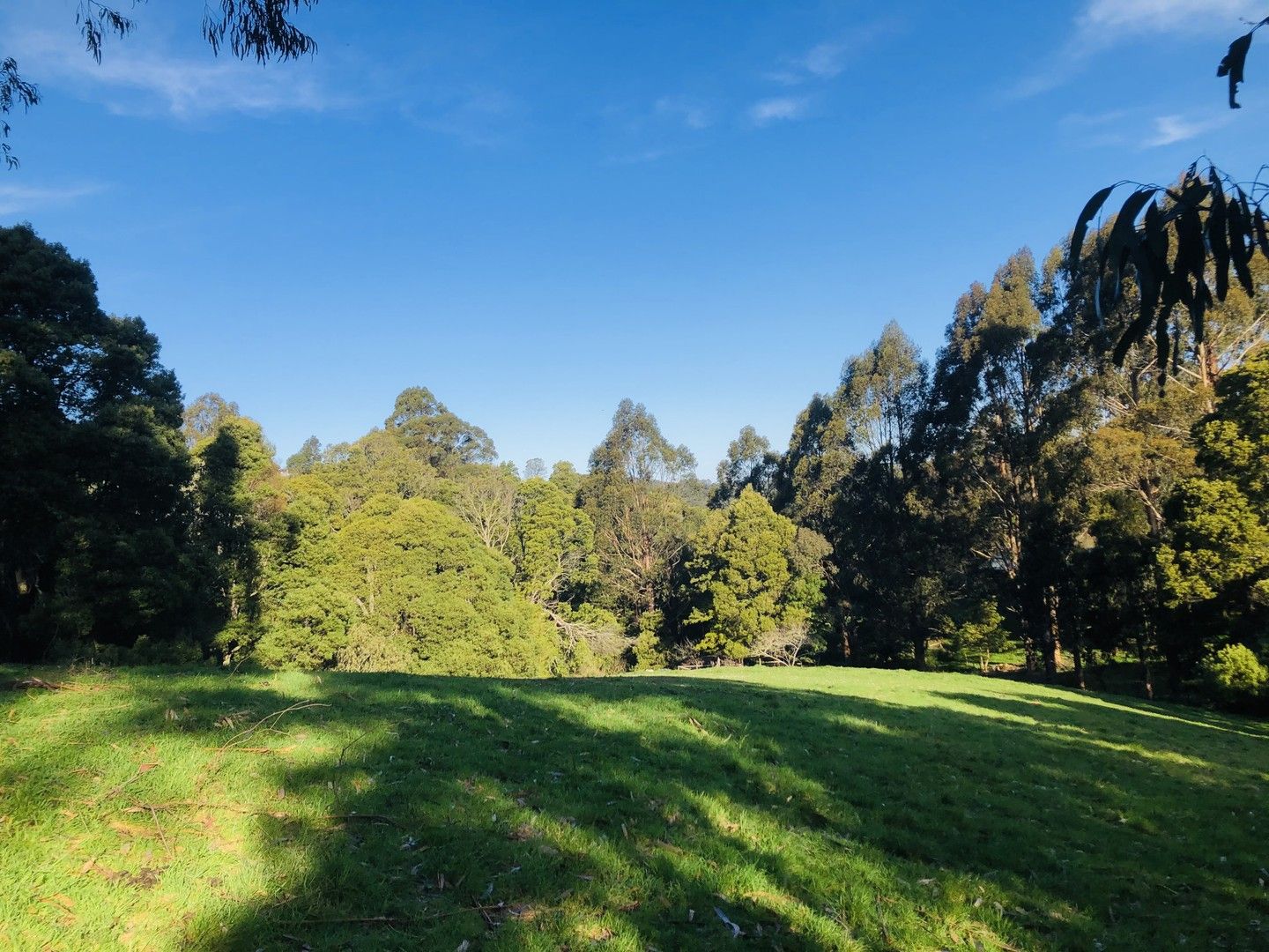 250 Woomera Creek Rd, Toora VIC 3962 House for Sale 910,000