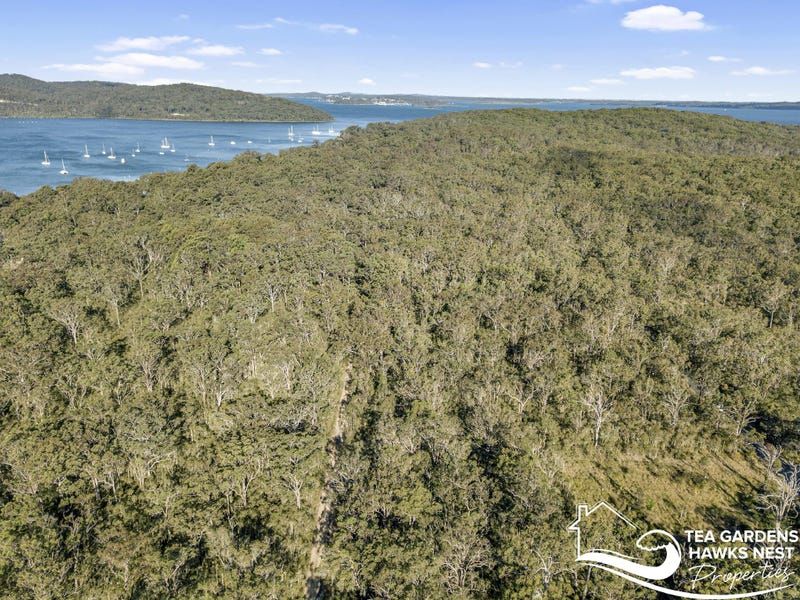 Lot 1349 Dungog Avenue, North Arm Cove NSW 2324 Domain