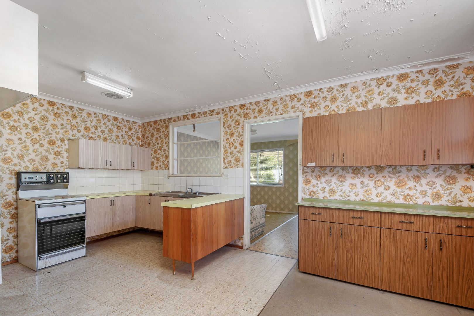 117 Lancaster Avenue, Punchbowl NSW 2196, Image 2