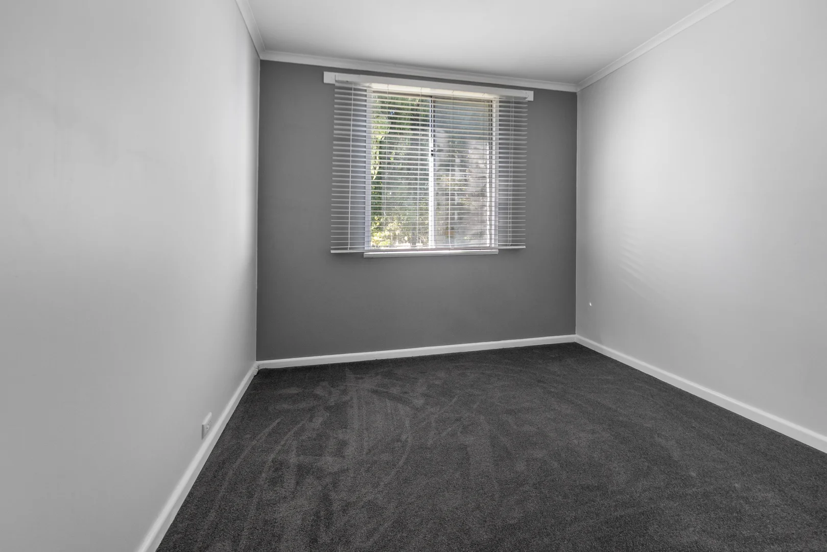 Additional image 8 of 29765 PRINCES HIGHWAY, Millicent SA 5280