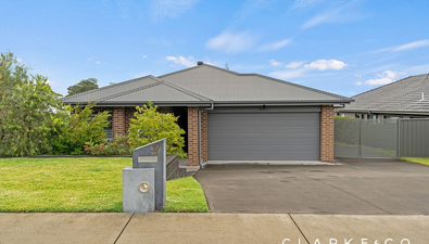 Picture of 39 Stayard Drive, BOLWARRA HEIGHTS NSW 2320