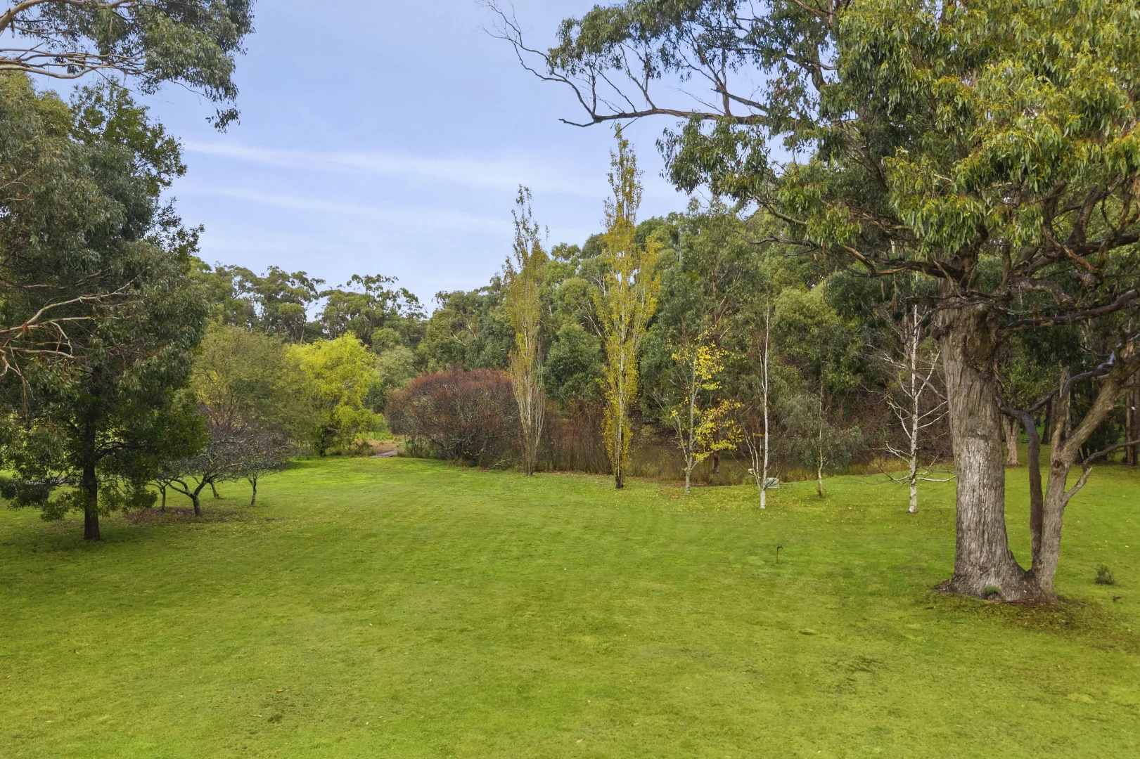 Image 14