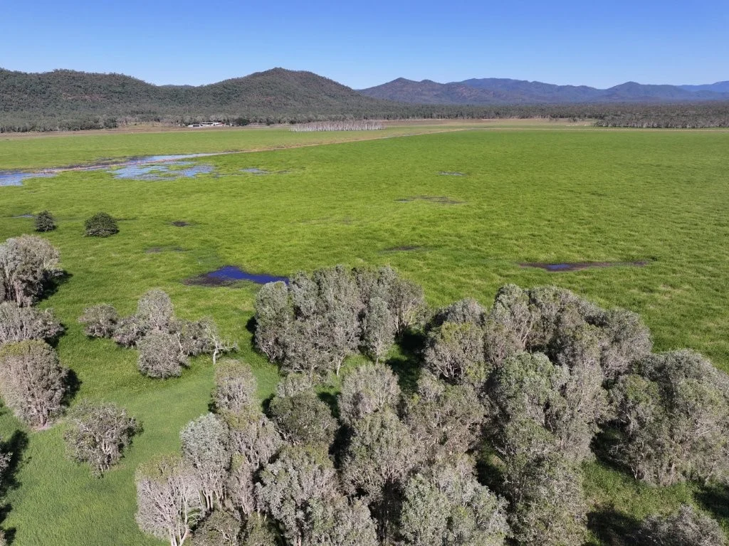 Additional image 16 of Pomona Road, Ingham QLD 4850