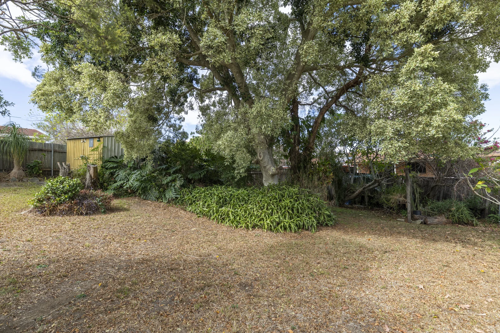 Image 13