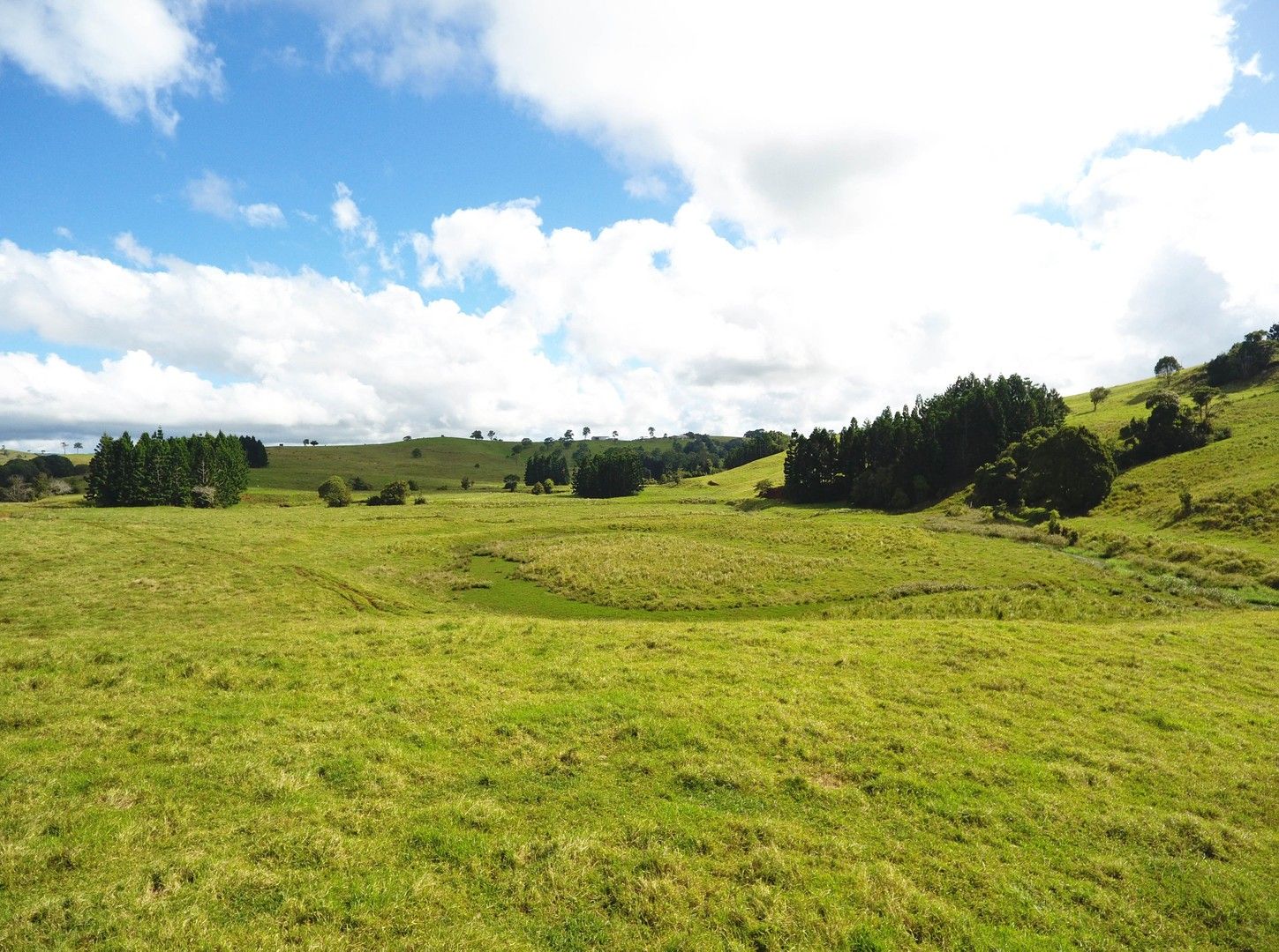 Tarzali QLD 4885 Specialist Farm for Sale Domain