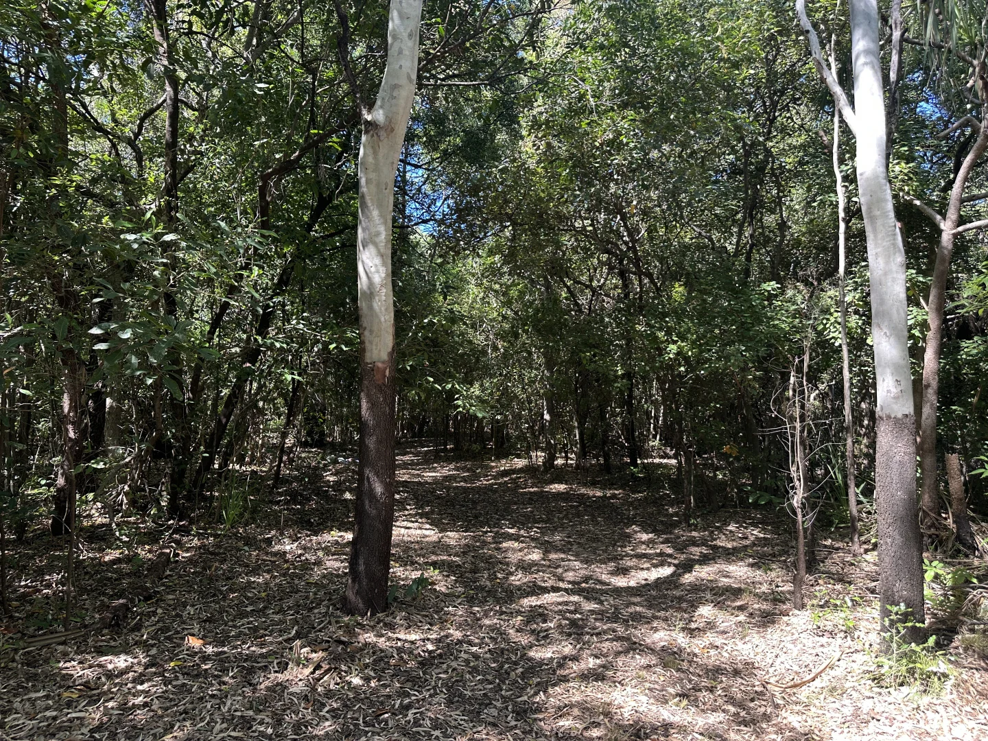 Image 7