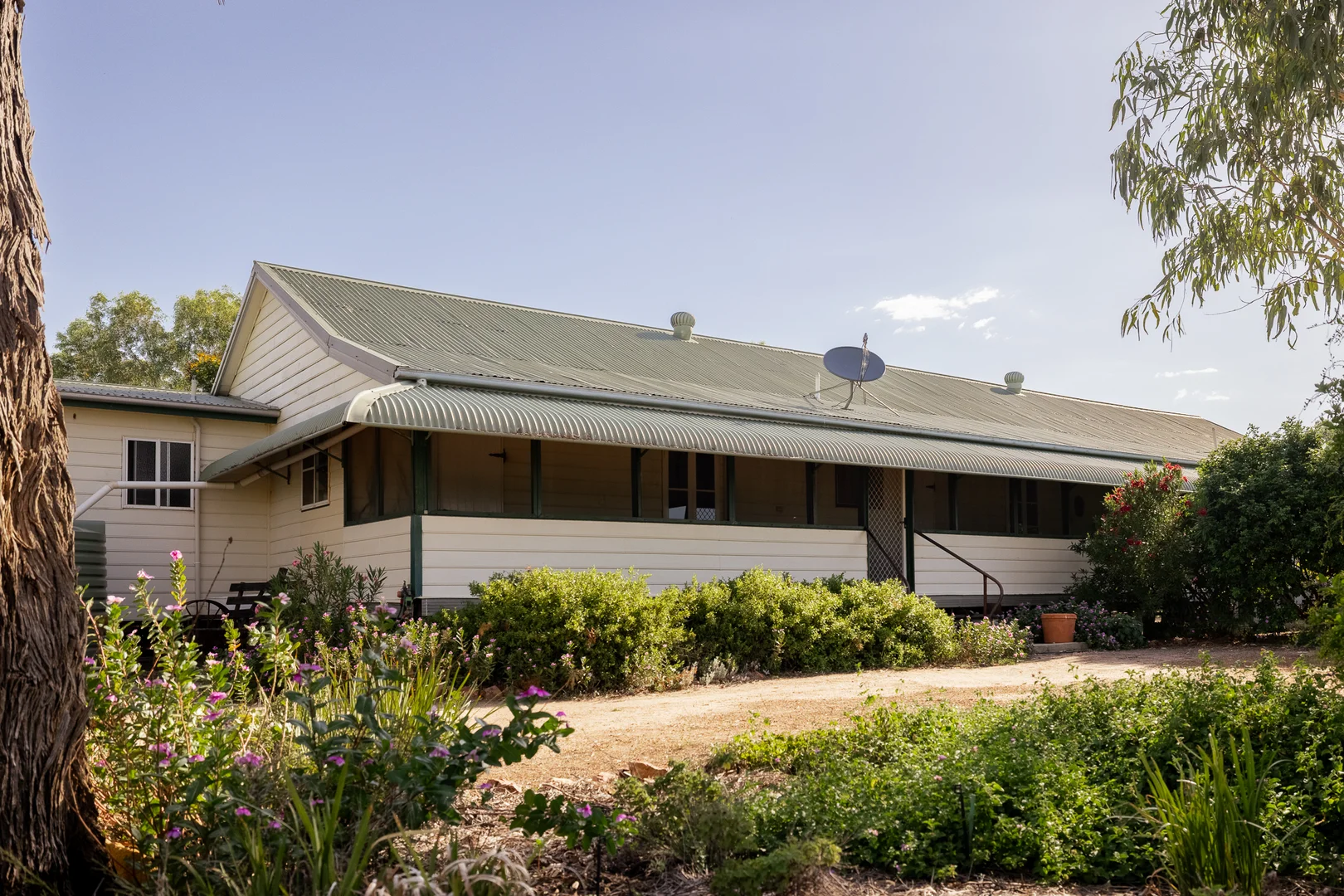 Image 25