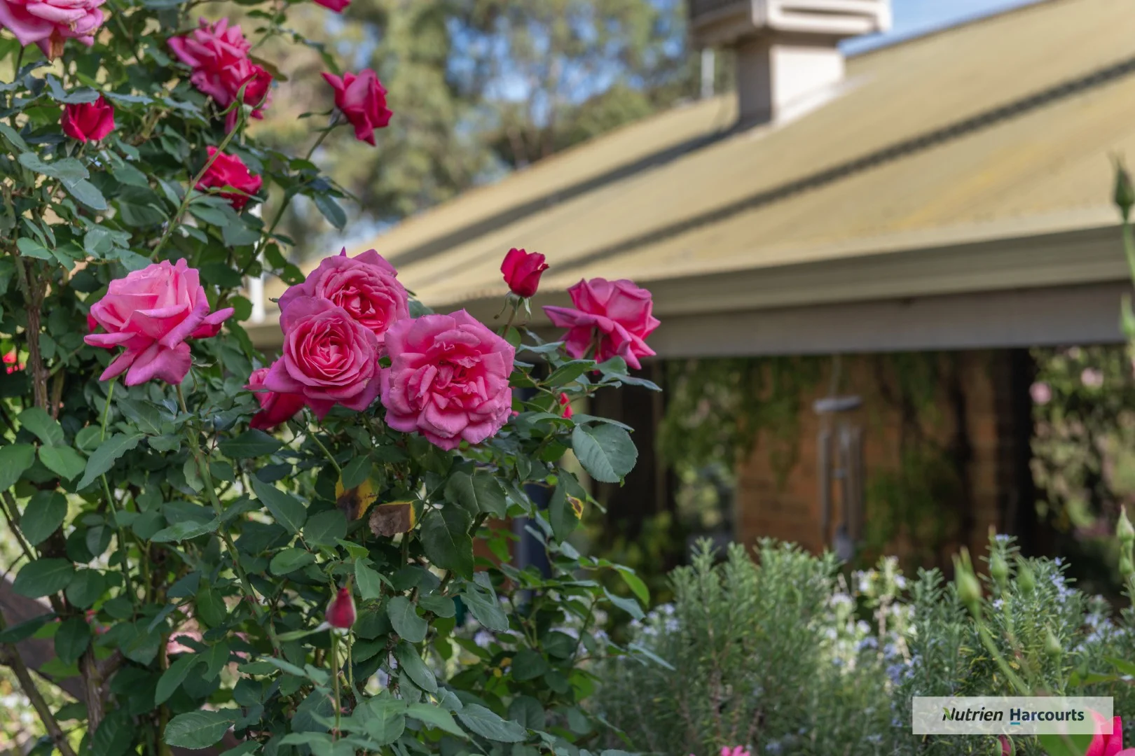 Additional image 3 of 310 Dockerys Road, Tallarook VIC 3659