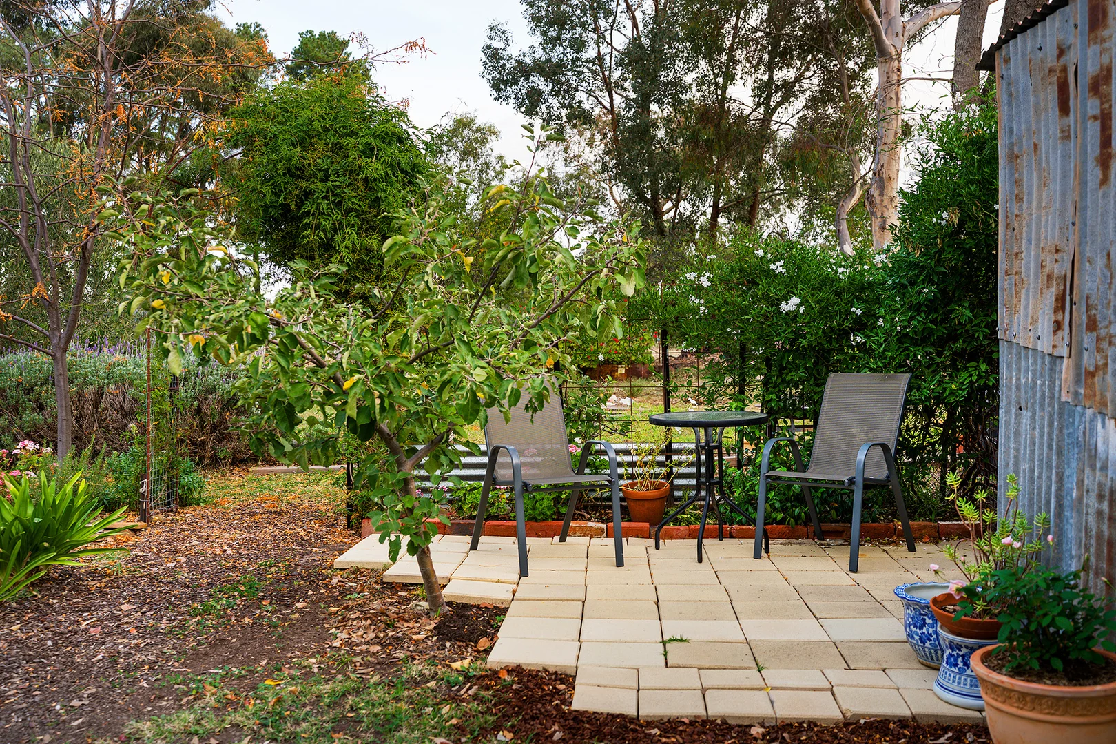 Image 12