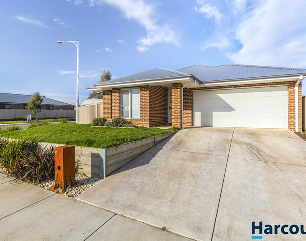 41 Wedge Tail Drive, Winter Valley VIC 3358