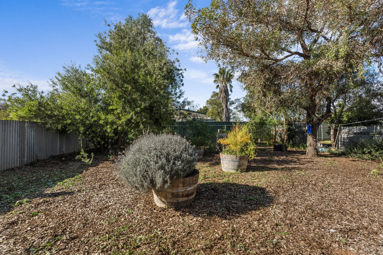 Image 25