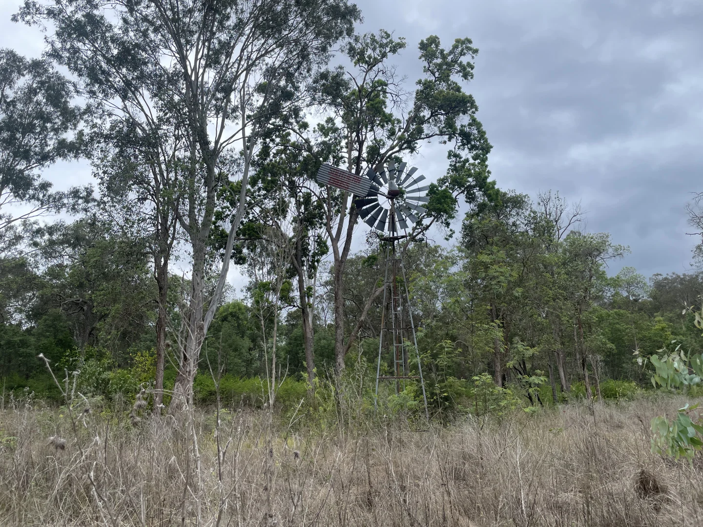 Image 22