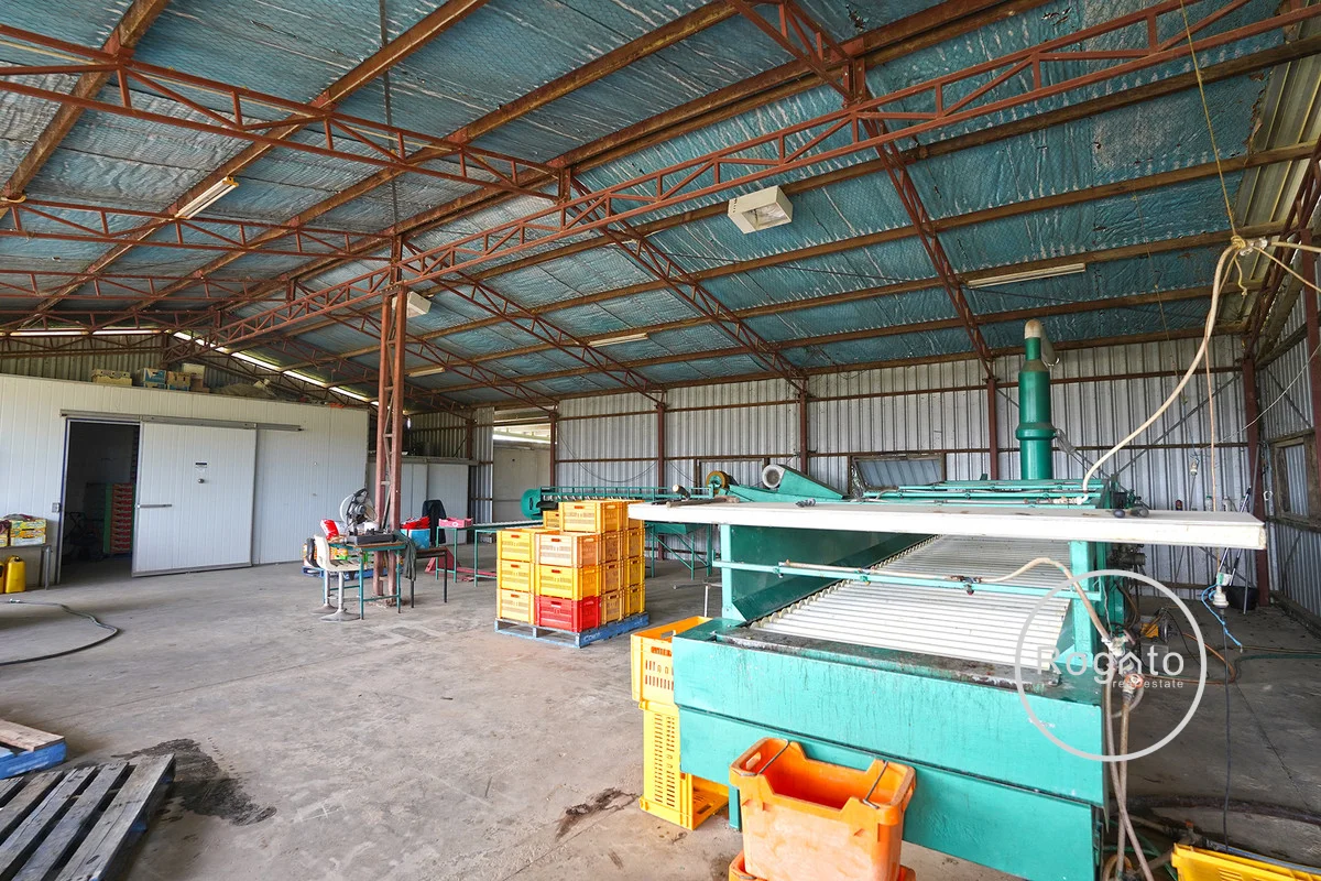 Image 12