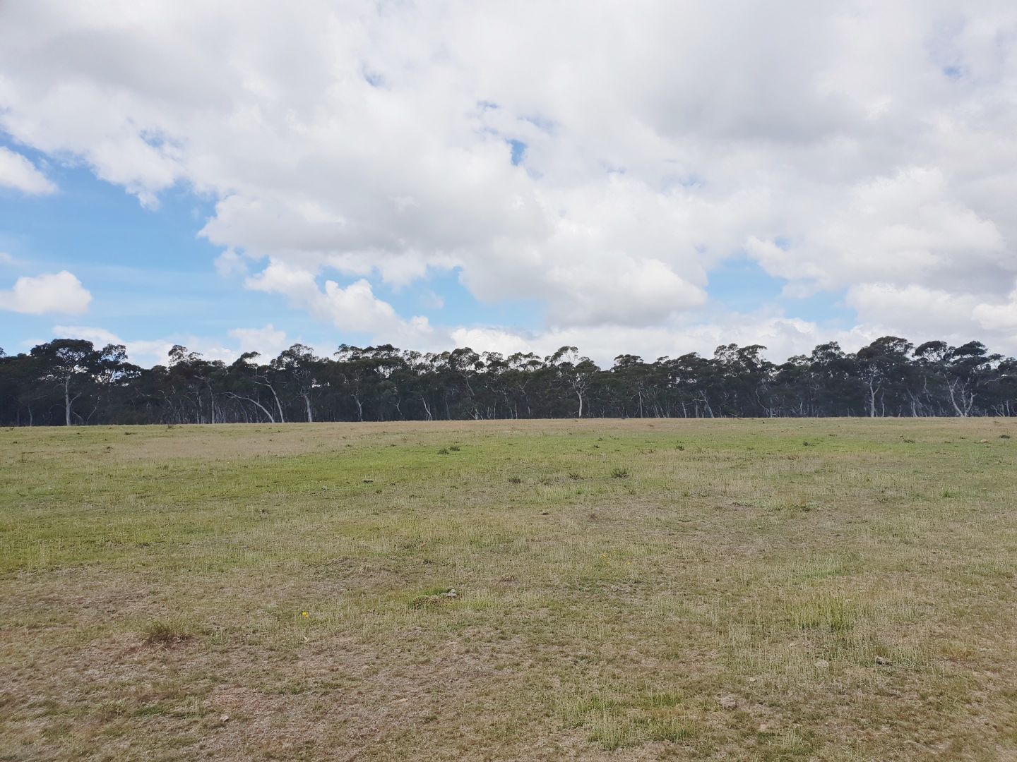 88c Kirriford, Nerriga NSW 2622, Image 1