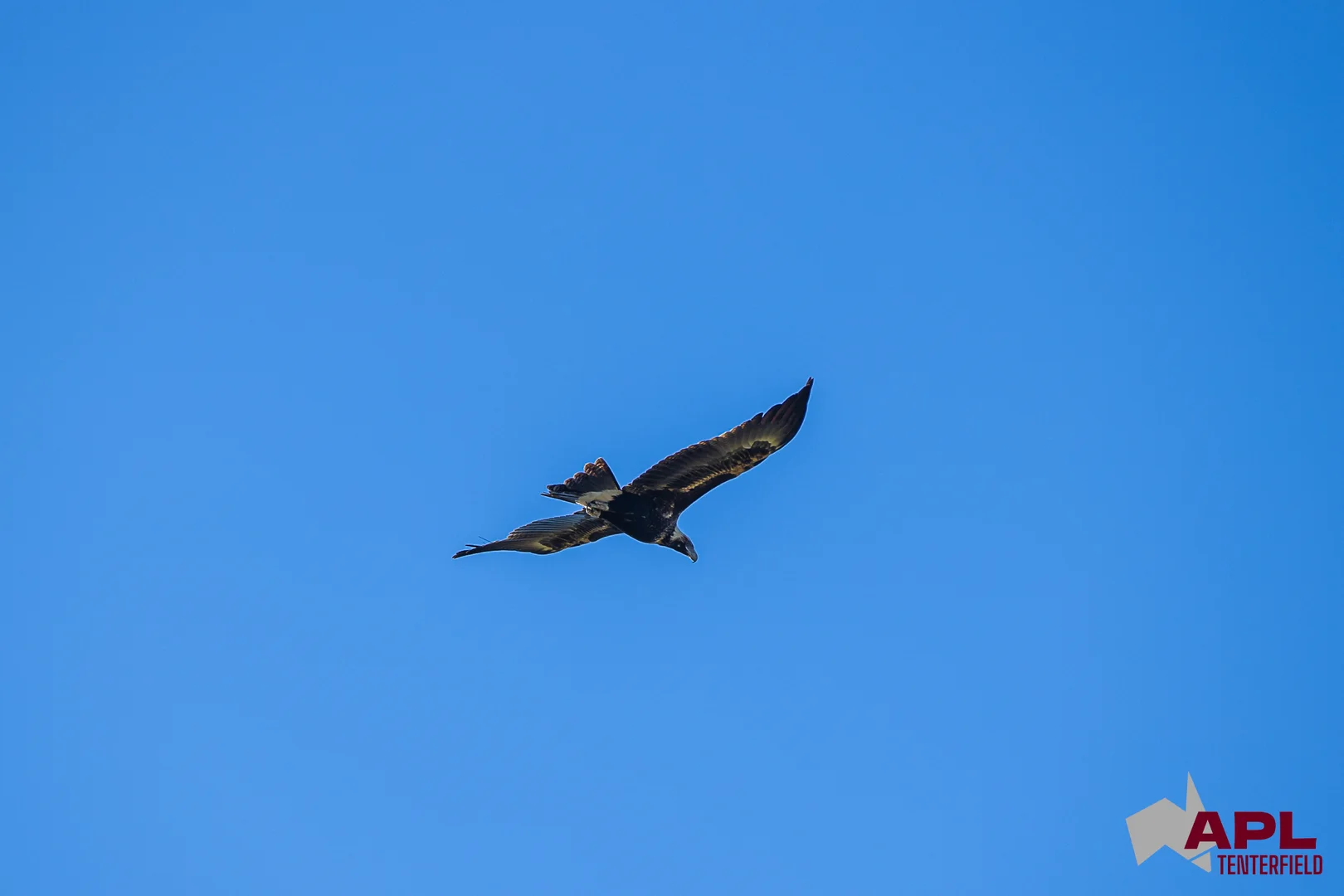 Image 17