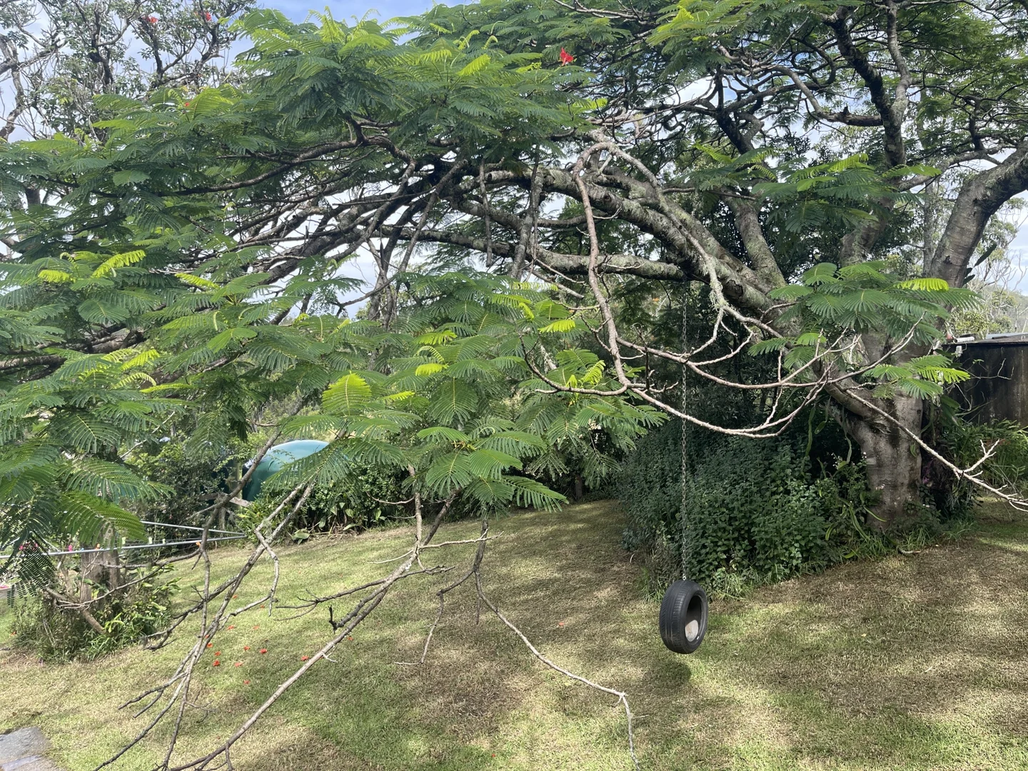 Additional image 12 of 196 Wards Road, Utungun NSW 2447