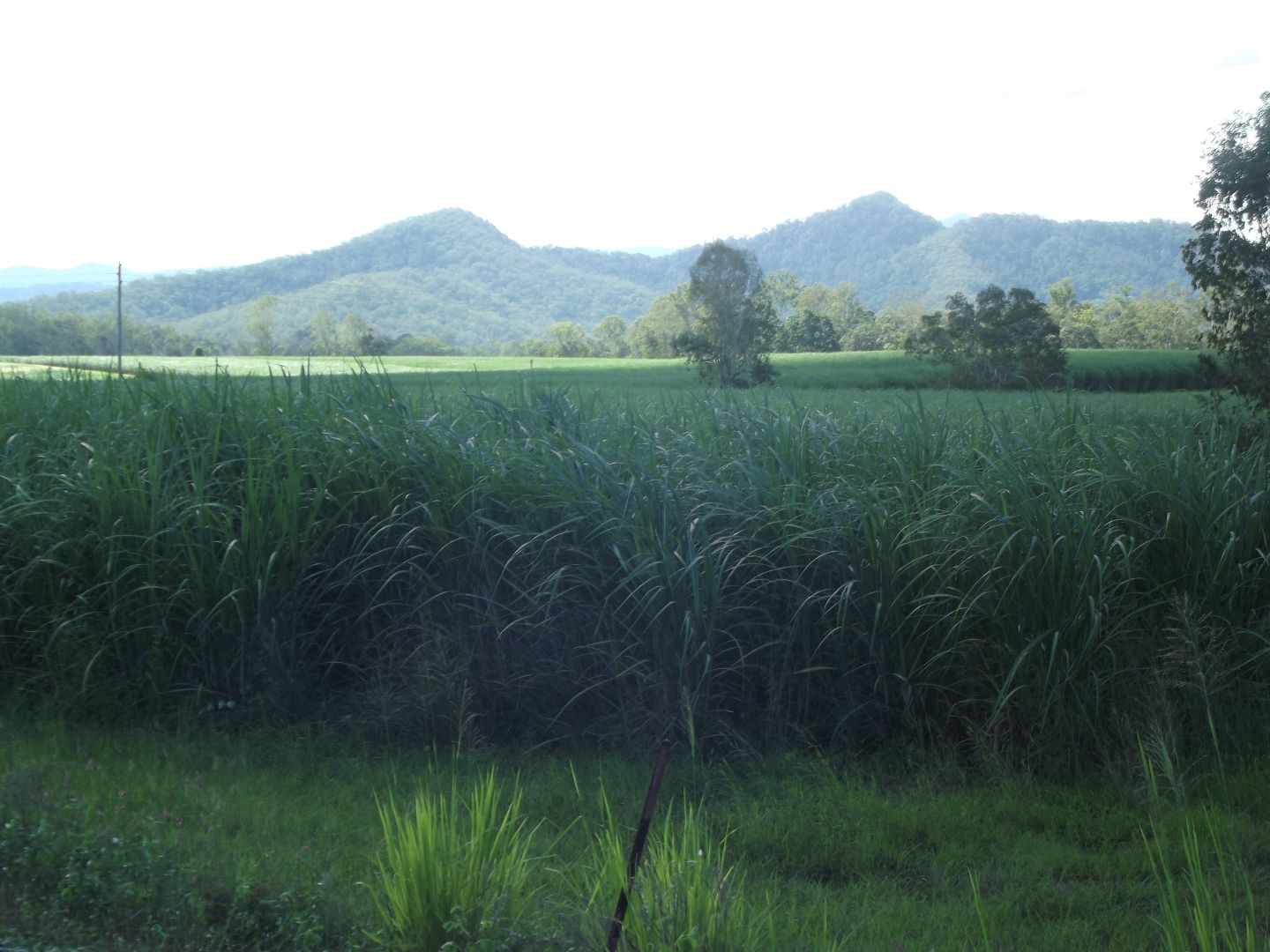 Gargett QLD 4741, Image 2