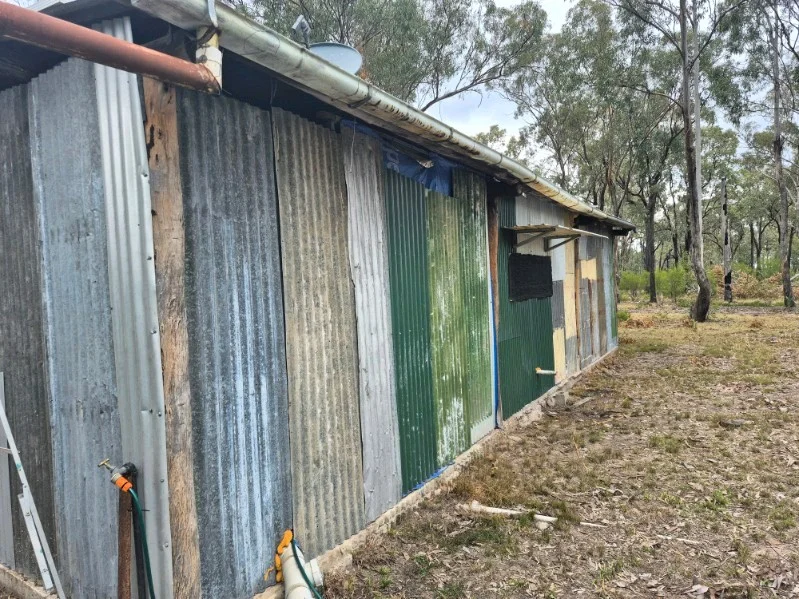 Image 6