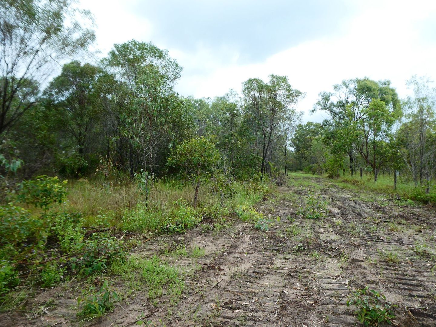 Mount Perry QLD 4671, Image 1