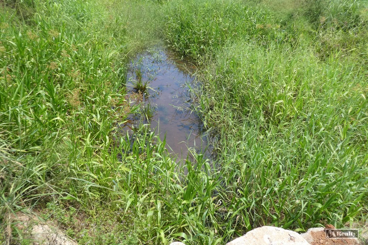 Image 15