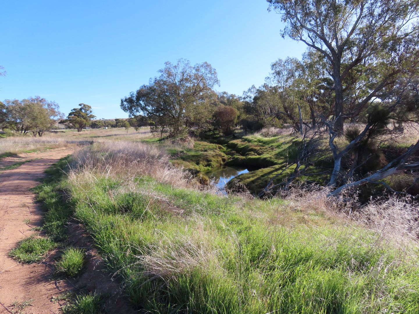 Lot 9 Barndon Street, Spencers Brook WA 6401, Image 1