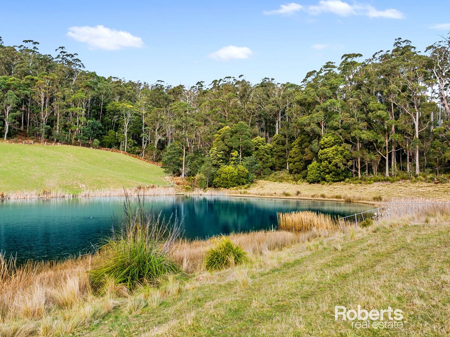 72 Hills Road, Gray TAS 7215, Image 0