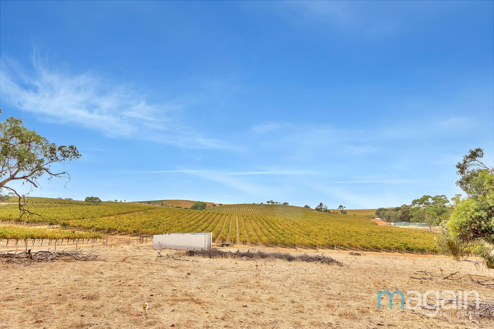 1 Rosedale Road, Rosedale SA 5350 - Vacant Land for Sale | Domain