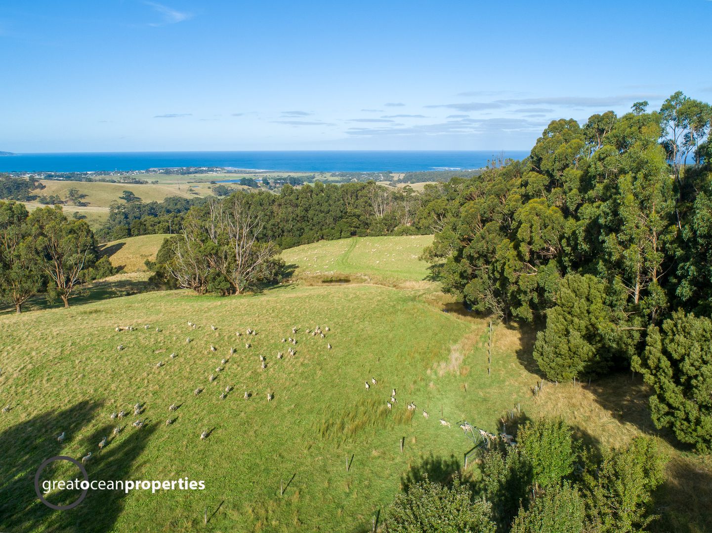 105 Old Hordern Vale Road, Apollo Bay VIC 3233, Image 2