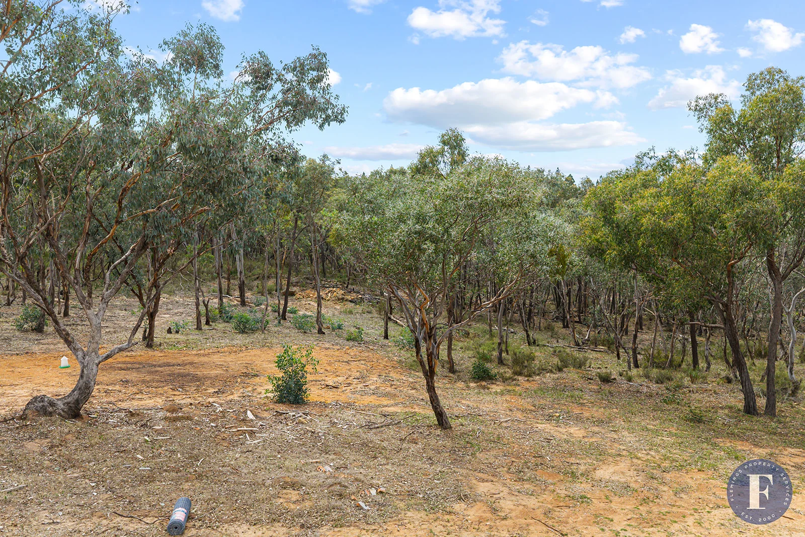 Image 15