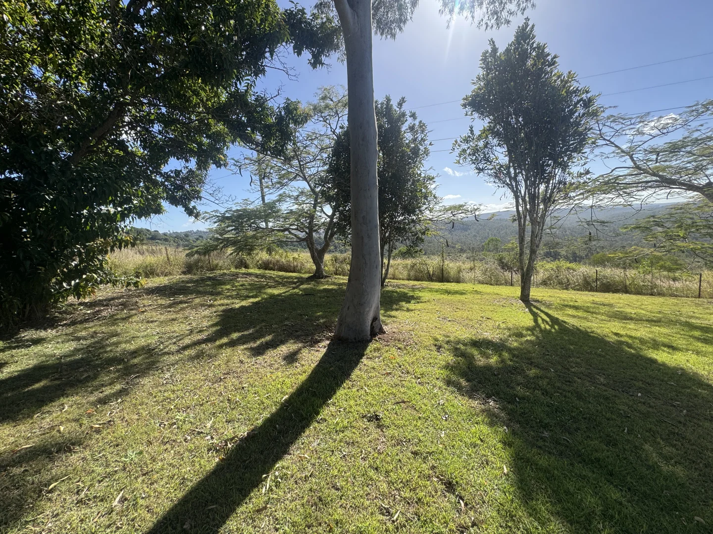Image 20