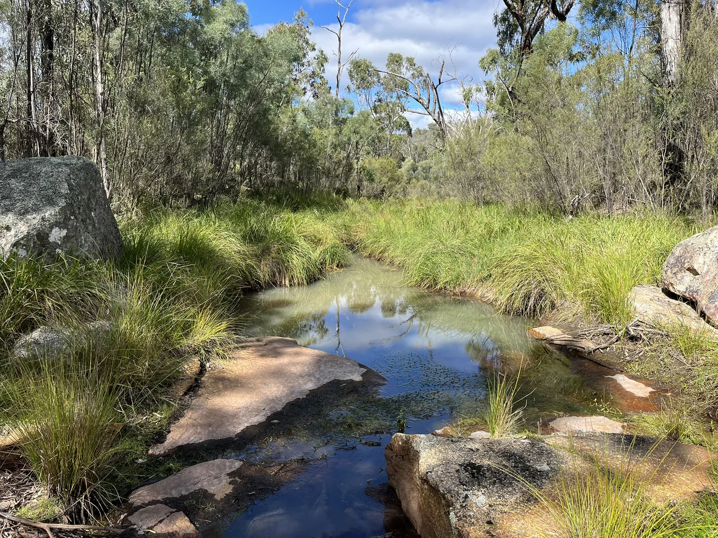 Image 14