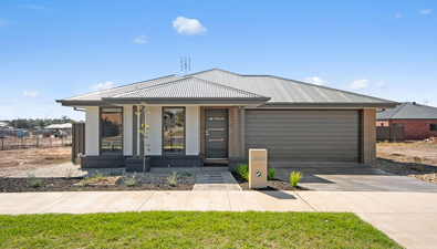 Picture of 101 Sawmill Road, HUNTLY VIC 3551