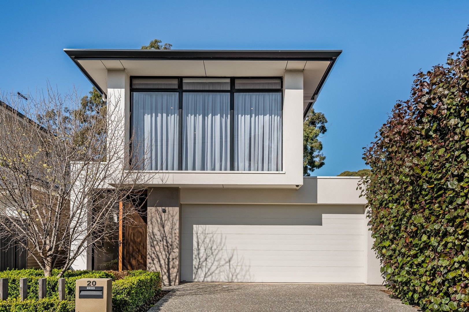 20 Pine Avenue, Novar Gardens SA 5040, Image 0