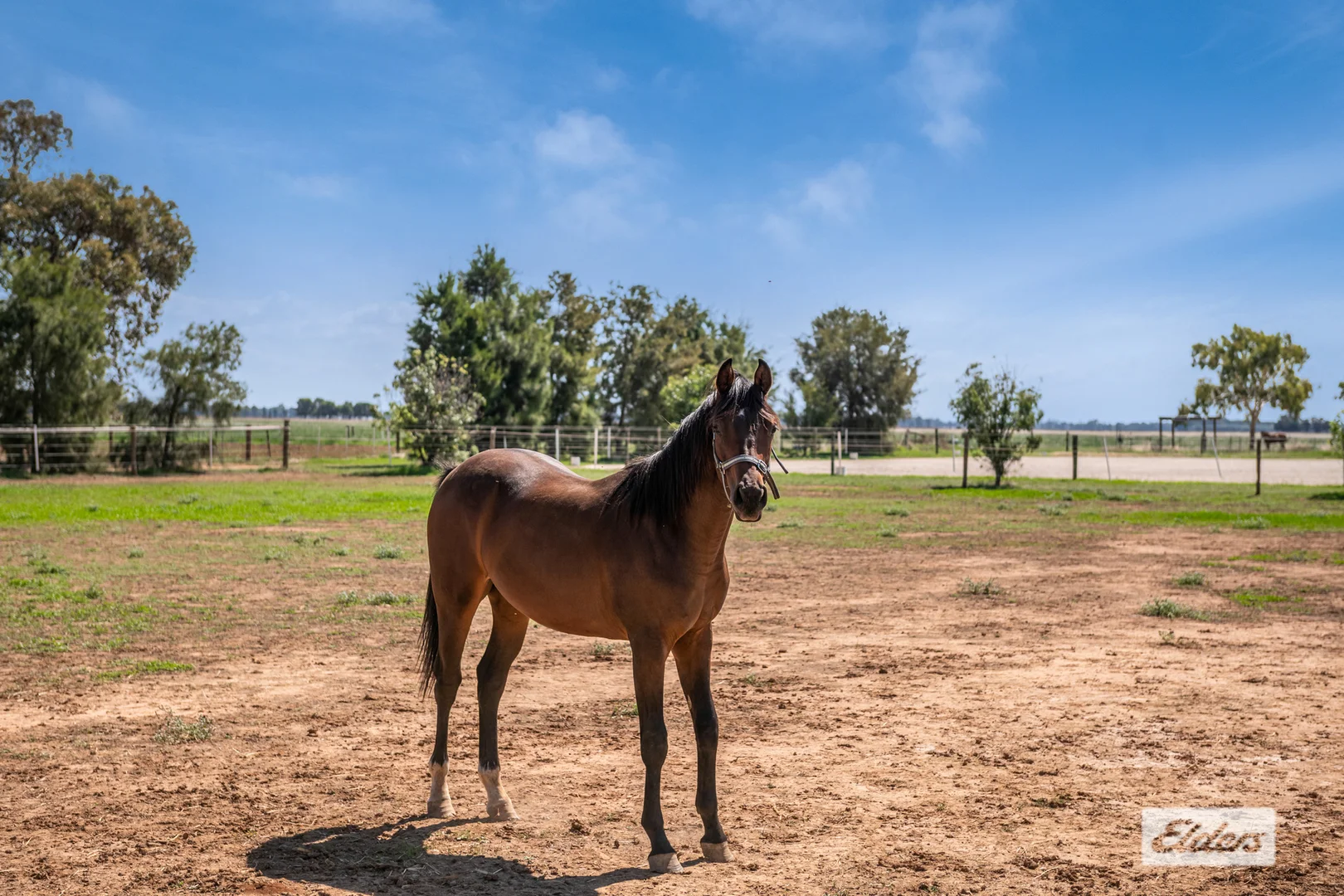Additional image 14 of 255 Rothackers Road, Serpentine VIC 3517
