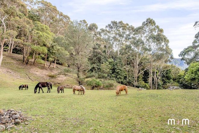 Picture of 1 Saywell Place, WOMBARRA NSW 2515