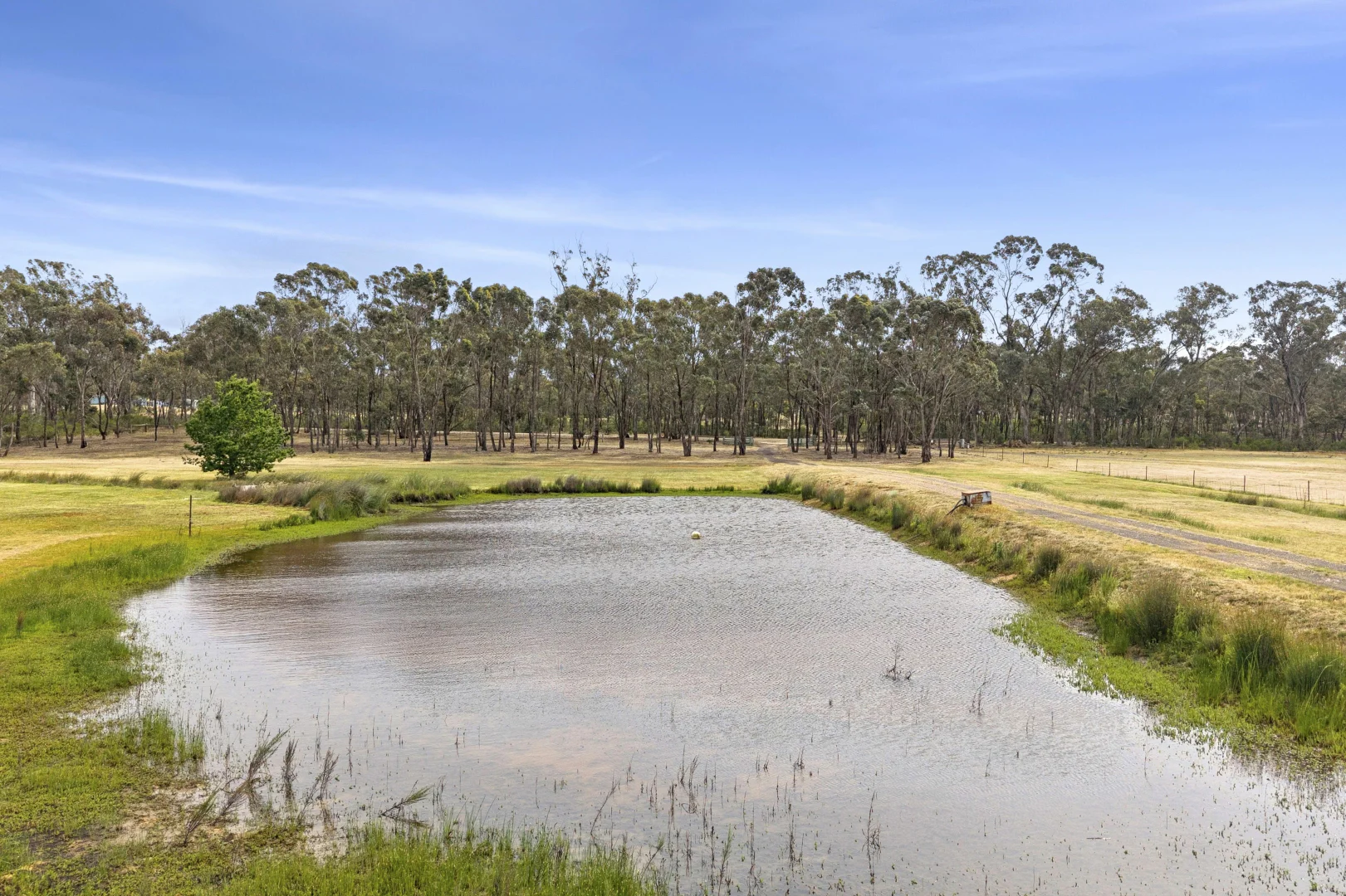 Additional image 14 of 135 Scotts Road, Lillicur VIC 3371