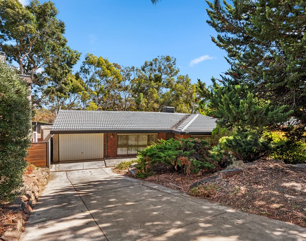 6 Melaleuca Drive, Athelstone SA 5076