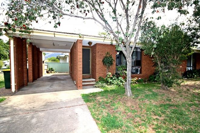 Picture of 12 'Denman Court'/5-8 Martindale Street, DENMAN NSW 2328