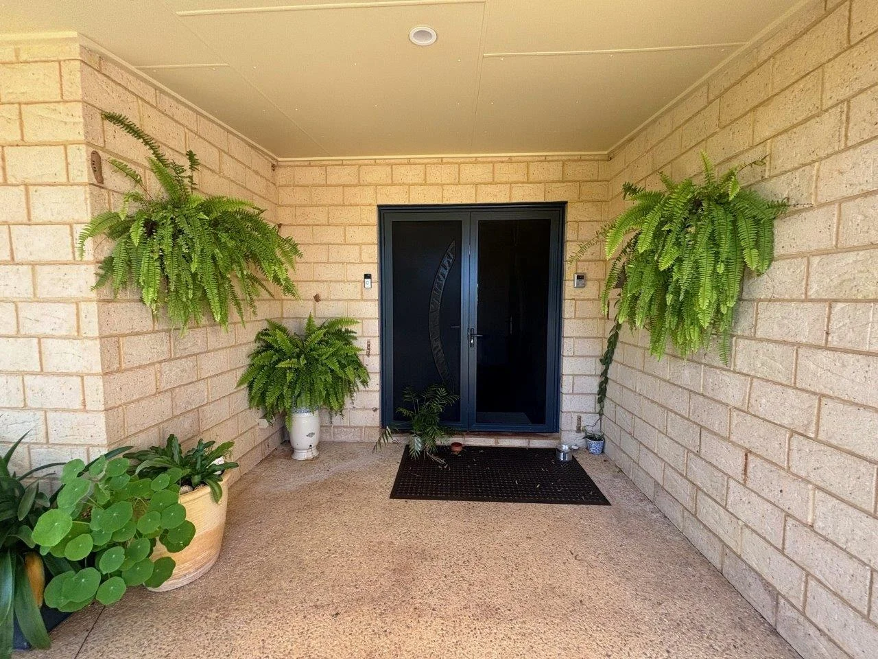 Image 10