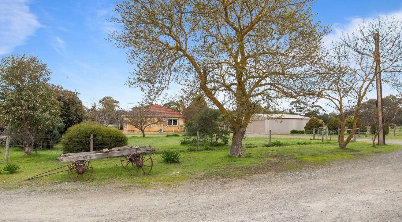 2625 Sturt Highway, Nuriootpa SA 5355 House for Rent Domain